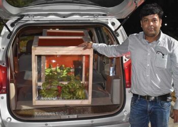 The uk link in a fruitful solution