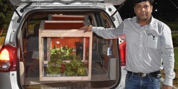 The uk link in a fruitful solution