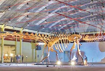 ‘Biggest Dinosaur’ On Display In London