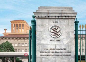 India may appeal against WTO ruling on IT tariffs