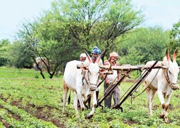Pradhan Mantri Fasal Bima Yojana