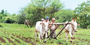 Pradhan Mantri Fasal Bima Yojana