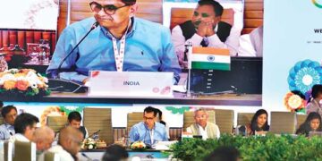 Sherpas review progress of the groups, laud India’s DPI