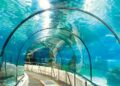 Undersea tunnel in Mumbai soon