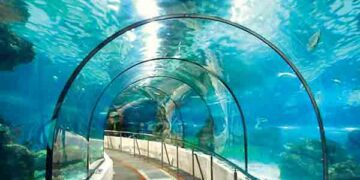 Undersea tunnel in Mumbai soon