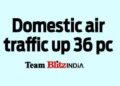 Domestic air traffic up 36 pc