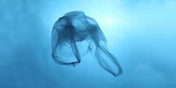 Plastic Bag Usage Falls