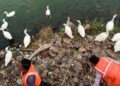 Environment ministry conducts wetlands cleaning around different Ramsar sites