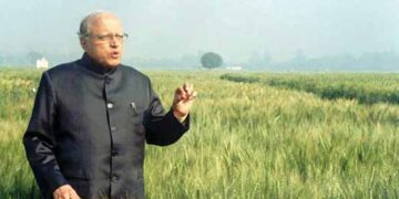 Miracle rice Aarey Aath