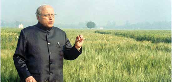 Miracle rice Aarey Aath