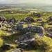 Dartmoor National Park to also get a share of £15m funding