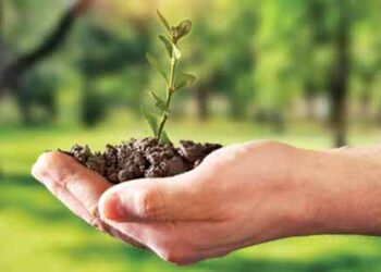 Sustainability vs Circularity