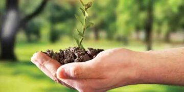 Sustainability vs Circularity