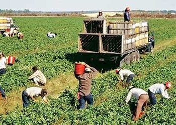 Job market expanding