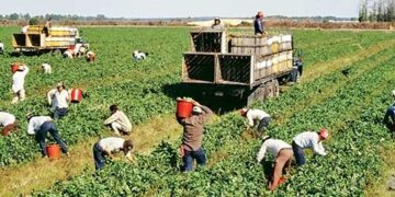 Job market expanding