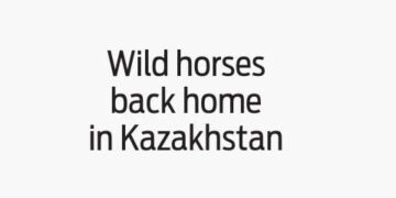 Kazakhstan