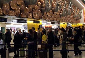 domestic airline market