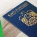 Emirati-passports