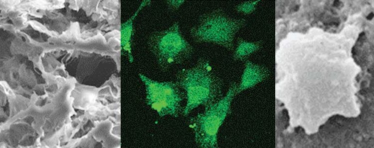 CLOTTING BLOOD FASTER