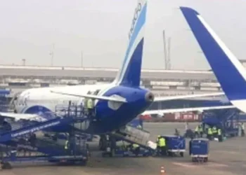 Domestic air passenger