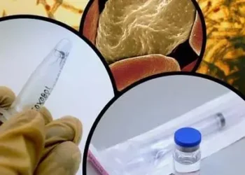 First malaria vaccine offers protection for pregnant women