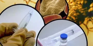 First malaria vaccine offers protection for pregnant women