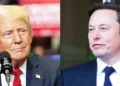 trump-musk