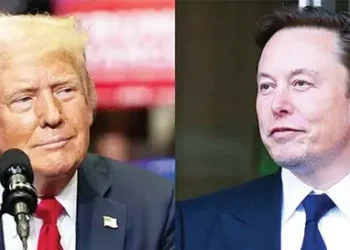 trump-musk