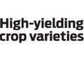 High-yielding crop varieties