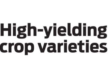 High-yielding crop varieties