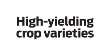 High-yielding crop varieties
