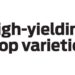 High-yielding crop varieties